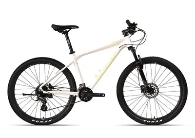 Mountain Bike Felnőtt